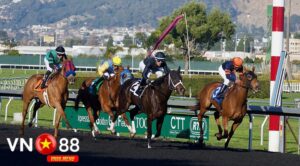 Giới thiệu về cá cược đua ngựa tại vn88