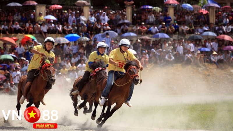 Ưu đãi và khuyến mãi cho người chơi cược đua ngựa tại vn88